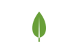 MongoDB